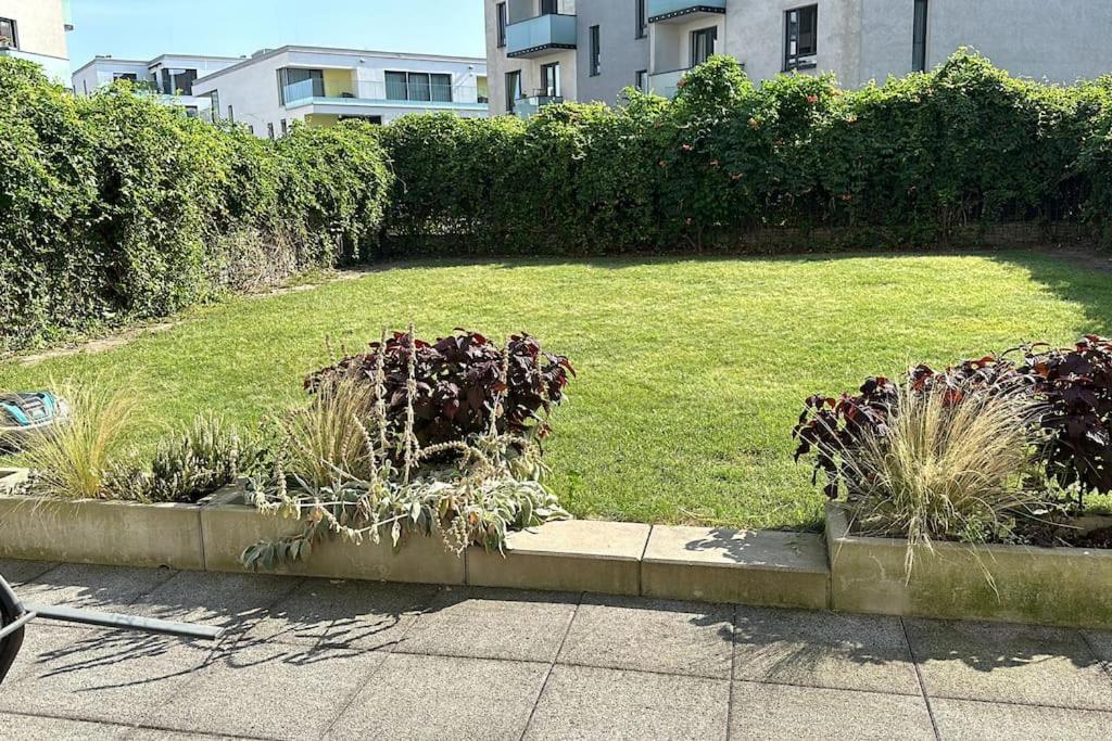 Garden Apartment Karolina Ostrava Exteriér fotografie